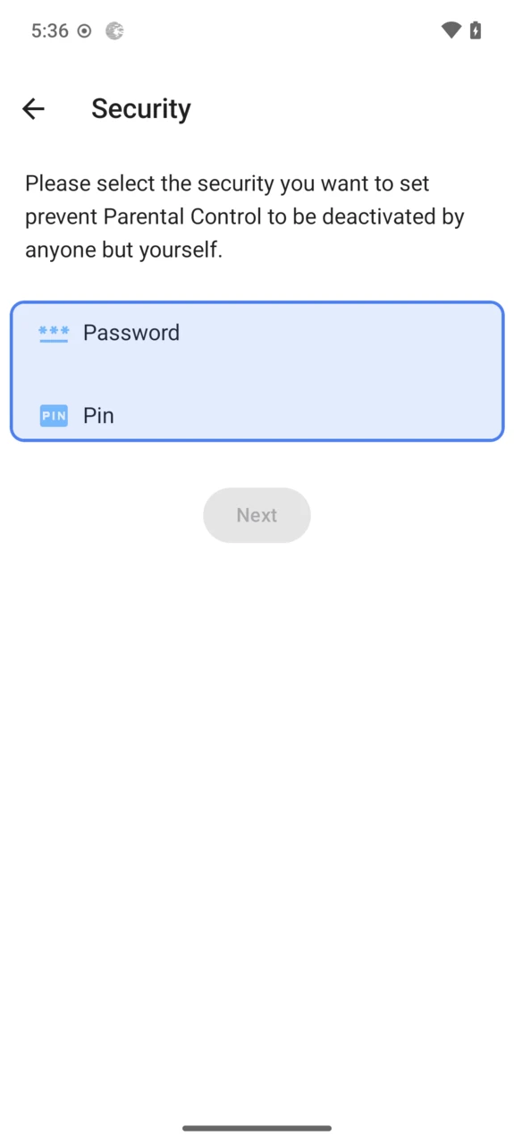 PIN or password choice