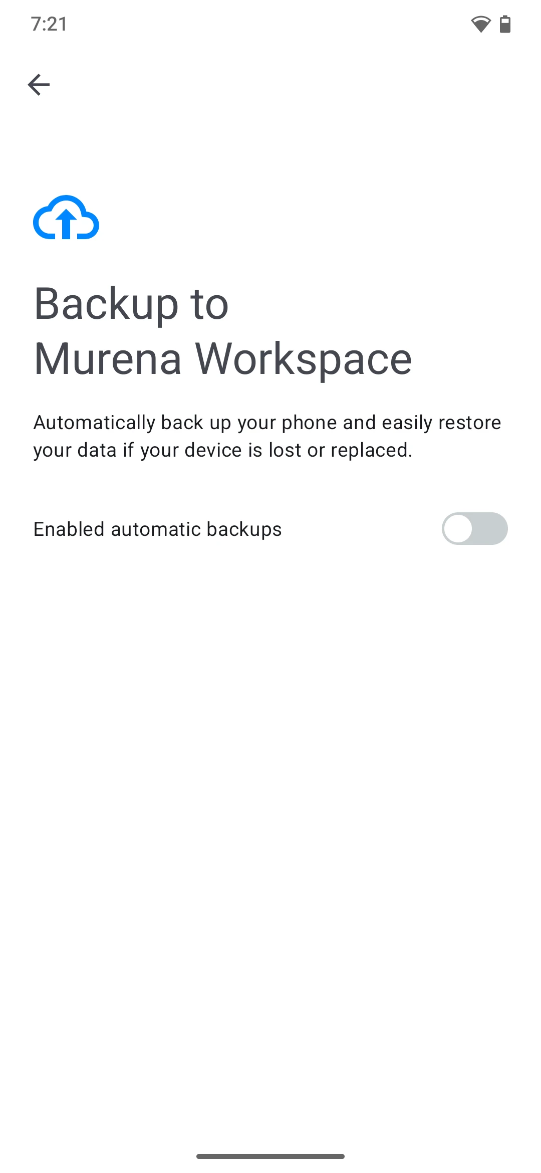 System settings showing the Backup entry